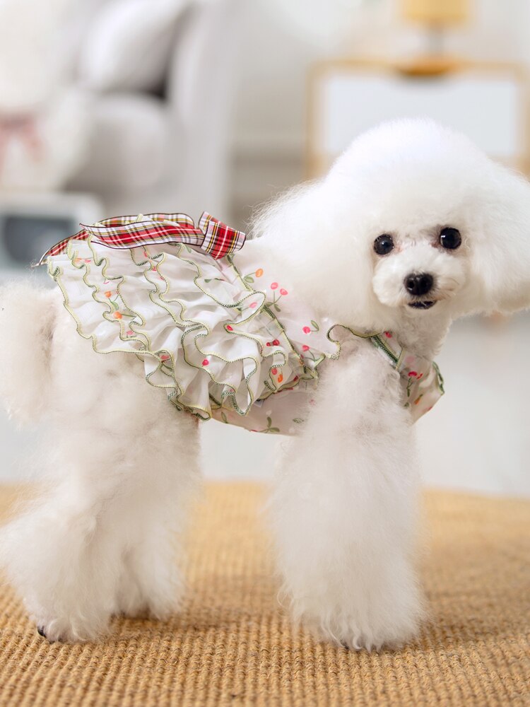 Puppy Hond Super Leuke Print Kant Prinses Jurken Mooie Hond Zomer Tutu Jurk Bovenkleding Kleding Chihuahua Poedel Honden Rok