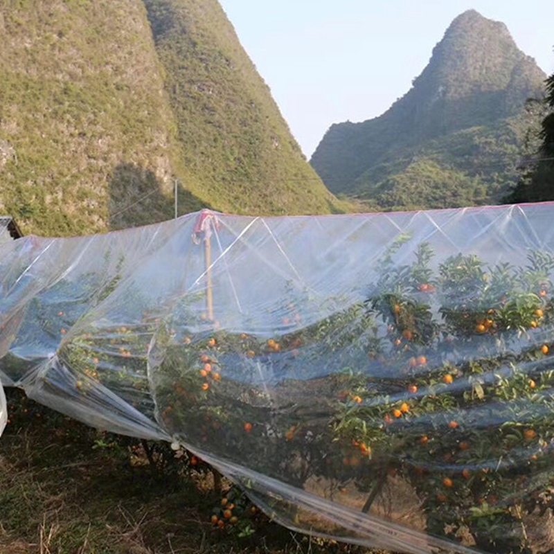 Película transparente para invernadero de verduras, cubierta de plástico para cultivo agrícola, protección Anti-UV para jardín, 0,1mm de espesor
