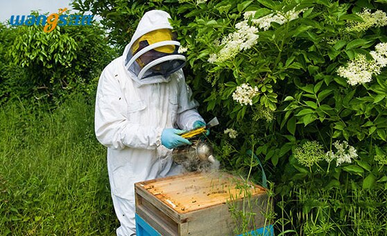 Handleiding Bee Roker Zender Kit Bee Rook Bijenkorf Spuit Bijenkorf Apparatuur Bijenteelt Gereedschappen Met Hitteschild Bescherming