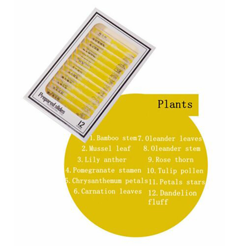 48Pcs Kids Plastic Microscoop Bereid Dia Insecten Planten Groenten Exemplaren Microscope Slides Plastic Cover Slips