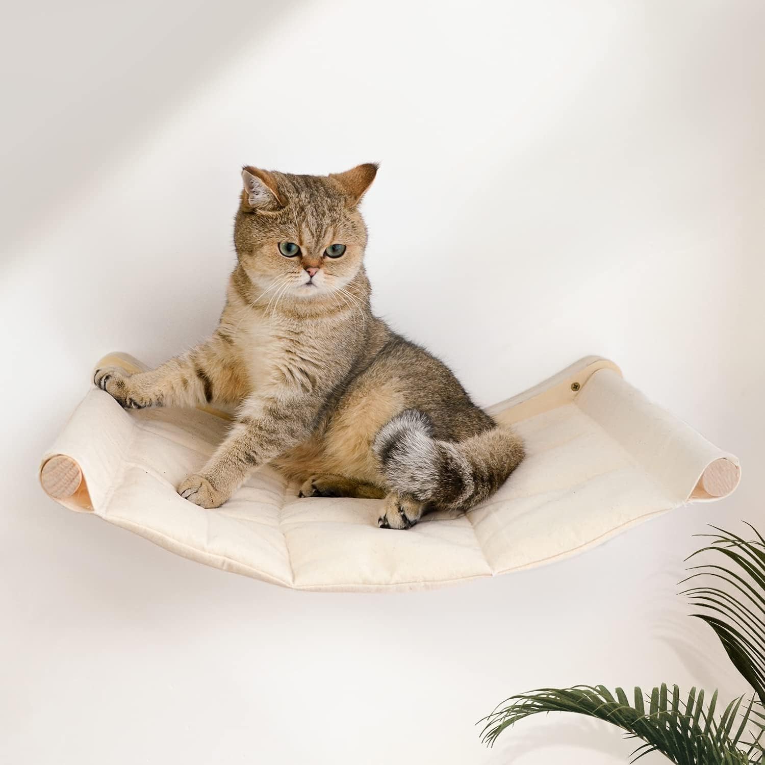 1 peça árvore de gato corda de escalada para gato arranhando garra ferramenta de moagem 150cm-corda de sisal grossa para gato brincando e explorar