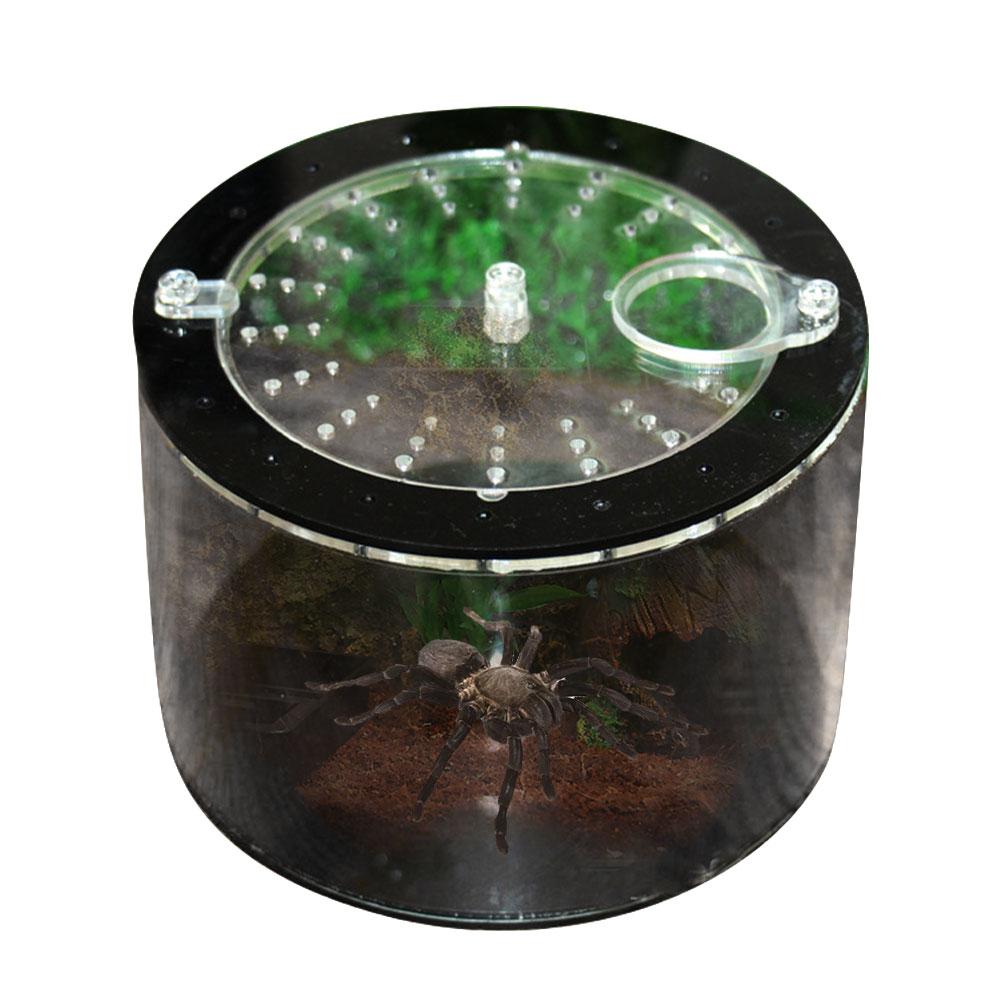 Acrylic Reptile Feeding Box Full View Insect Box Praying Lizard Reptile Home Insect Cage Reptile Terrarium Spider Breeding Box: Default Title