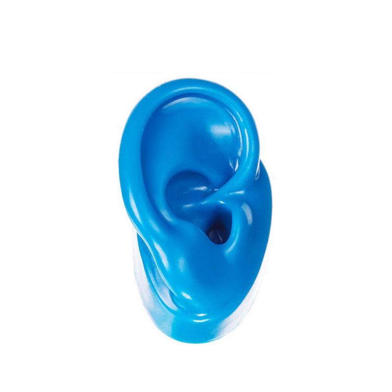 Silicone Ear Model Human Artificial Ear Display for Hearing Aids IEM Earphones Display and Lecturing: Blue Right side