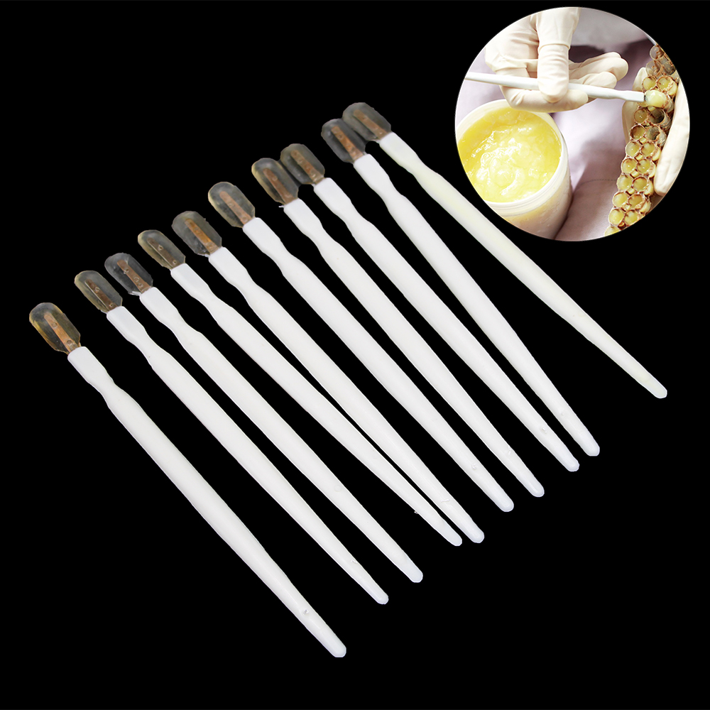 6 uds abejas injerto Jalea Real escobilla de goma pluma Herramientas de apicultura de la pulpa de plumas de suministros de equipo de la apicultura