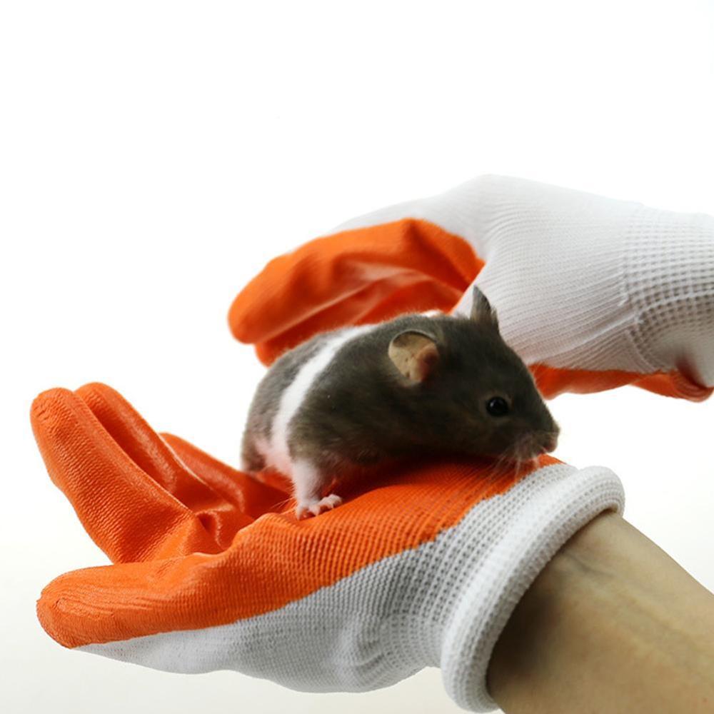 Kleine huisdieren bijtbestendige handschoenen onbreekbare handbeschermingshandschoenen varkens chinchilla's hamsters bijten konijnen cavia  x3 m 6