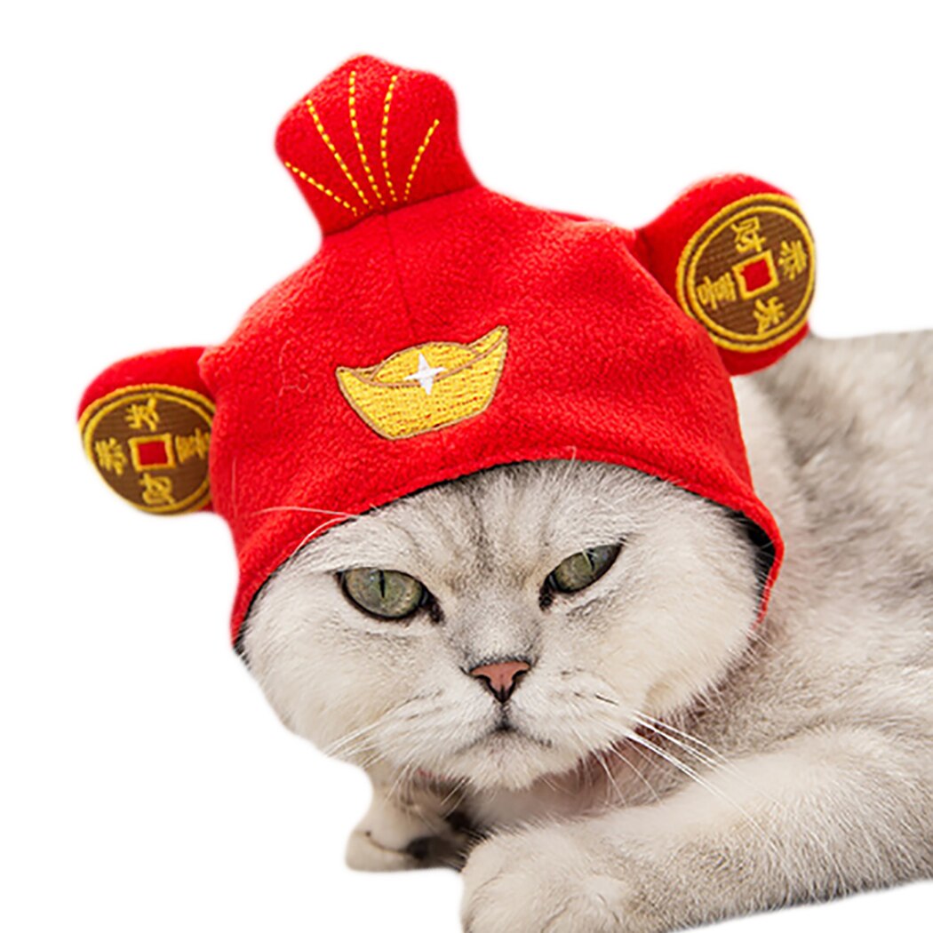 Chapeau et amusant pour chien et chat, Costume pour animal de compagnie, accessoire de déguisement, accessoire de fête: God of Wealth