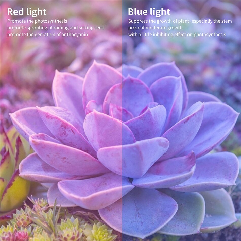 28W LED Plant Growth Light Full Spectrum LED Plant Growth Light Indoor Lighting E27 Hydroponic System Growth Box