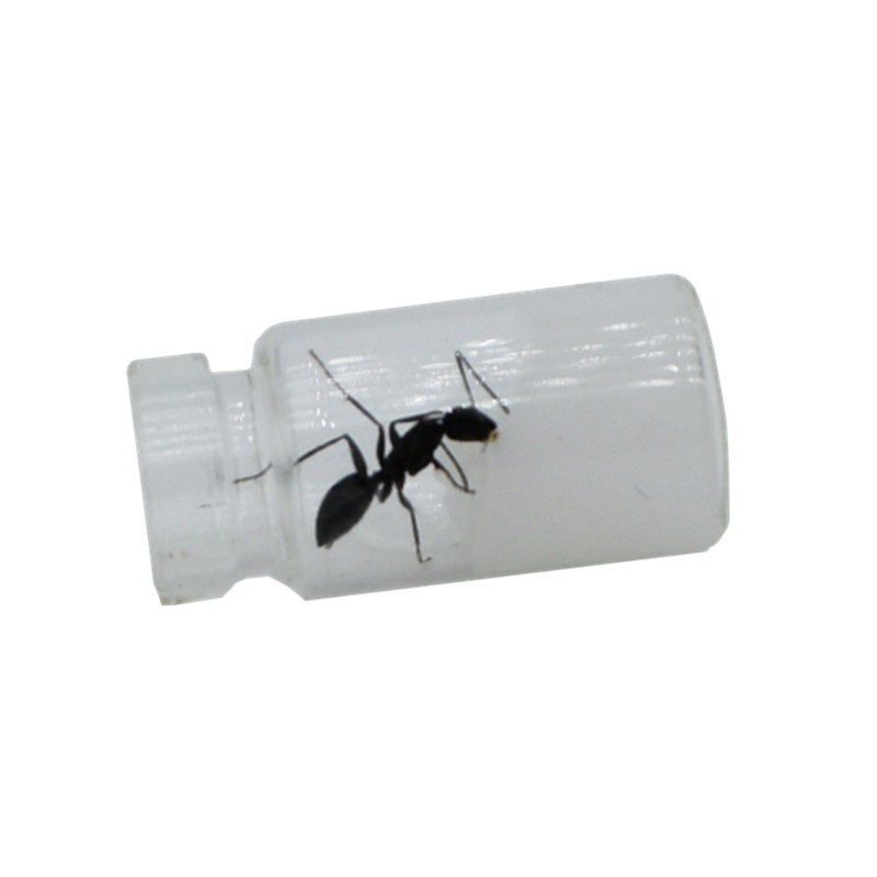 Nutritional Protein Ant Food Ant Workshop Ant Castle After Breeding Japanese Arched Ant Feed Pet Ant Food Pet Terrarium Supplies