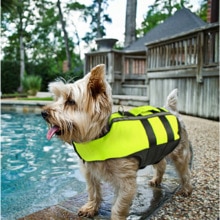 Huisdier Airbag Zwemvest Opblaasbare Vouwen Hond Kleding Honden Badmode Huisdieren Zwemmen Pak Hond Outdoor