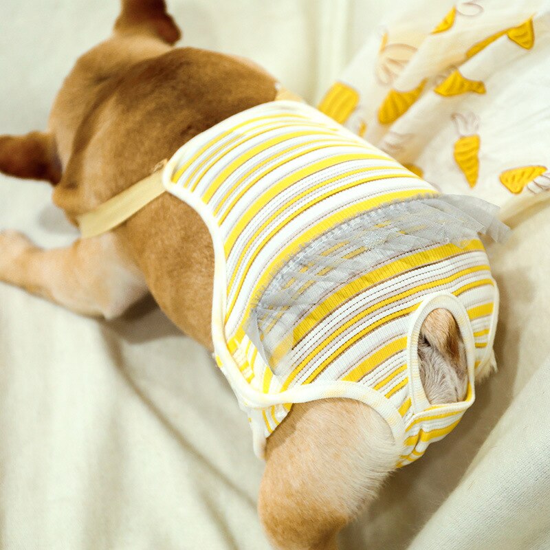 Pantalones cortos reutilizables para mascotas, braguitas sanitarias fisiológicas lavables para mujer, ropa interior para menstruación, calzoncillos para gato y perro