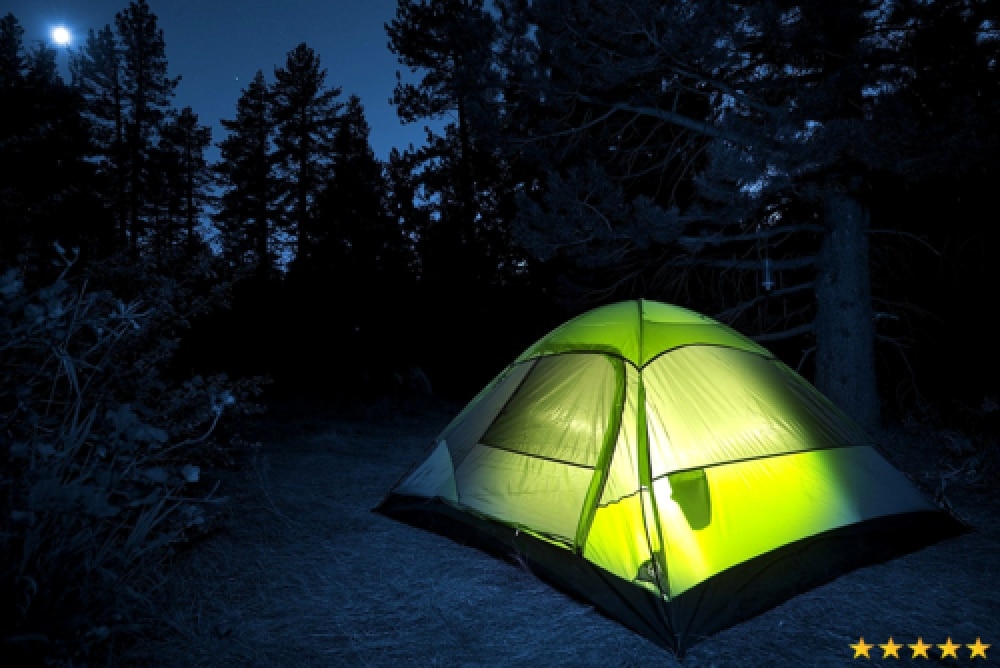 10PCS 6-INCH Industrial Grade Glow Sticks Ultra Bright Emergency Light Sticks - Green