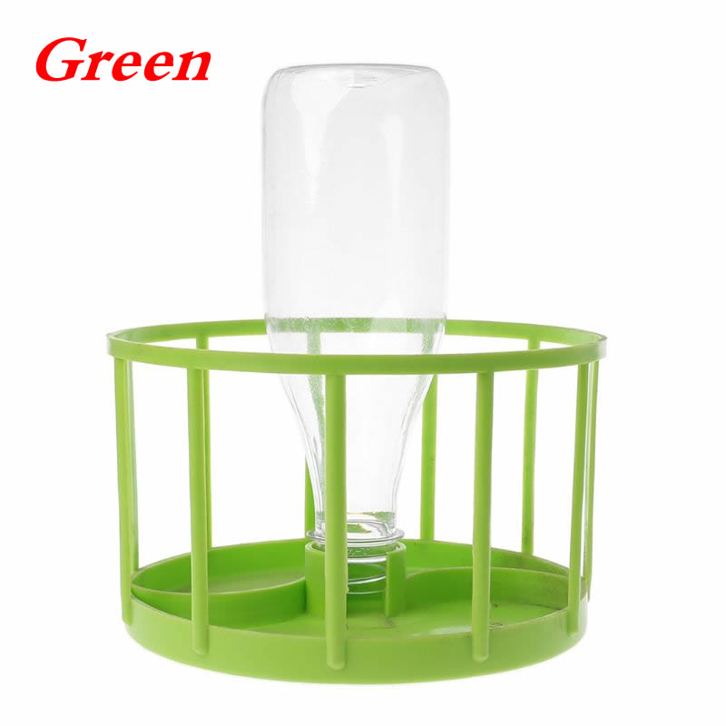 Reptiel Feeder Voedsel Water Kom Aquarium Ornament Terrarium Schotel Voor Schildpad Schildpad Hagedis: Green