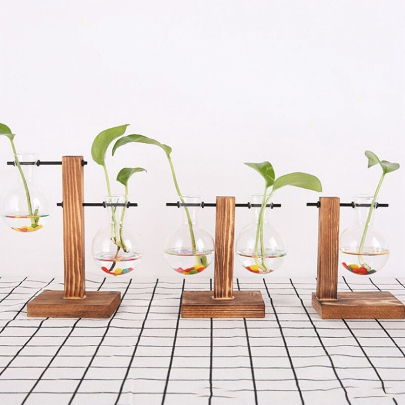 Eenvoudige en glazen flesvaas, houten standaard, hydrocultuurvaas, groene plant, kleine vaas, bureaudecoratie, scandinavische vaas