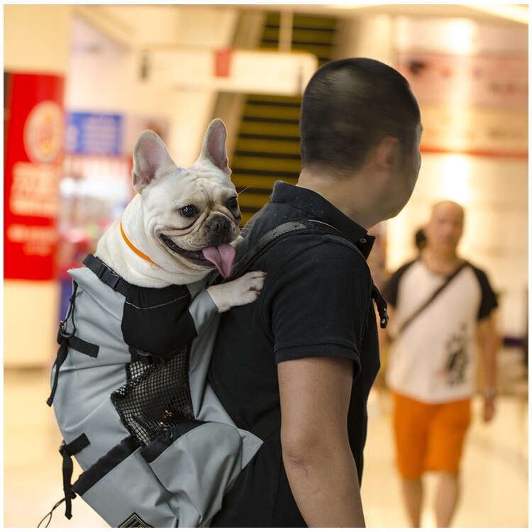 Haustier Hund Träger Reise Rucksack Schulter Hund Outdoor Tasche Lüftung Atmungs Fahrrad Motorrad Outdoor Wandern Sport Tasche: Grey / S