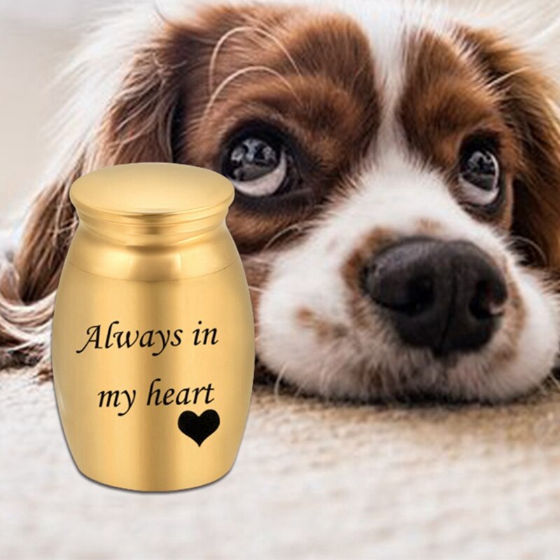 5 Styles Stainless Steel Cremation Urn Ashes Commemorate Pet Hair Remains Waterproof Funeral Keepsake Urn