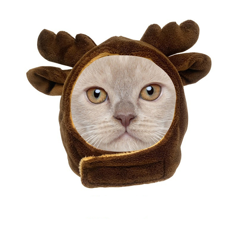 Chapeau d'animal mignon pour chiens, casquette de Costume en velours , accessoires pour chat moyen, bouledogue français, animal de compagnie, respirant, couvre-chef de noël pour chiot: M / Rose