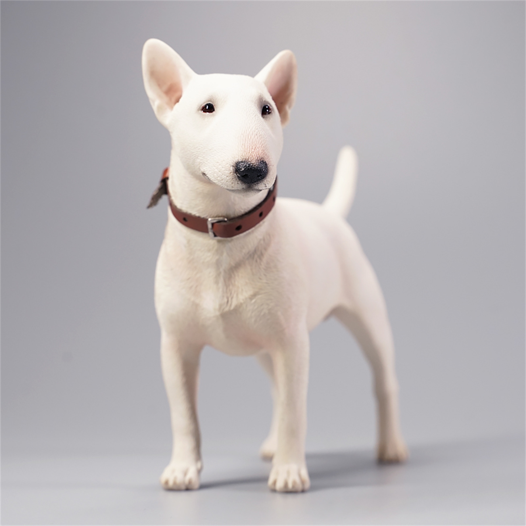 JXK 1:6 Scale Bull Terrier Figure Dog Pet Healing Figure Cute Canidae Animal Collector Toy Resin Desktop Decoration: 067D