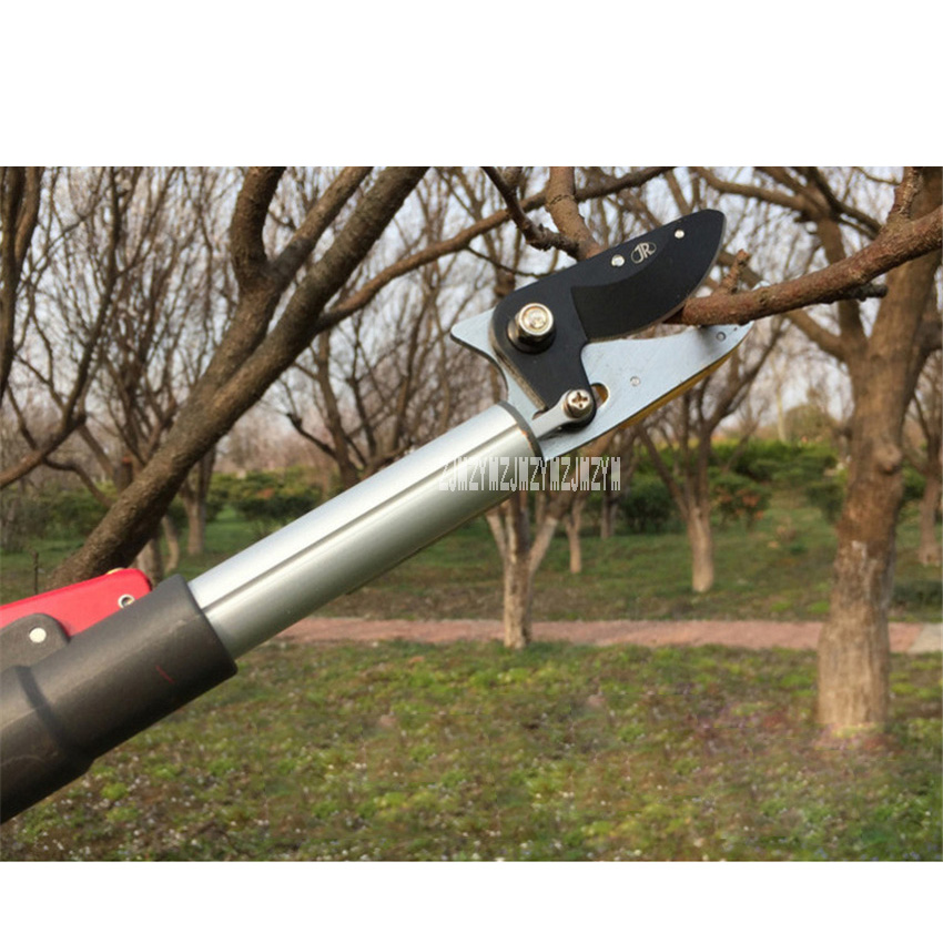 Tijeras para podar árboles frutales, herramienta de poda de ramas altas, telescópica, para jardín, mejorado, 3 metros