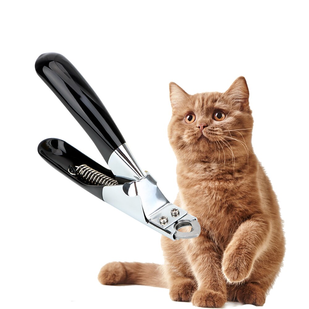 Kæledyrsprodukter klosakse rustfrit stål kæledyrsnegleklippere trimmer kat pleje katteforsyninger cutter