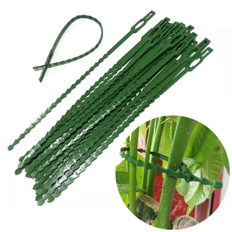 Abraçadeiras de plástico ajustáveis para plantas, reutilizáveis, para jardim, plantas, videira, árvores, arbustos, suporte, prendedor, anéis de envoltório