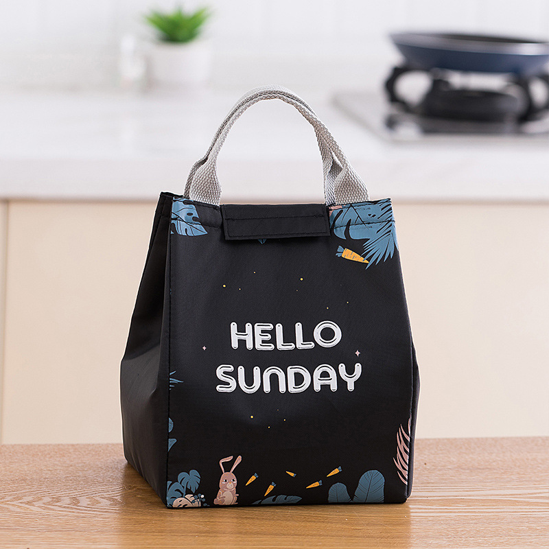 Neue Cartoon Kühler Mittagessen Tasche Wasserdicht Mittagessen Box für Picknick Kid Frauen Reise Thermische Frühstück Organizer Isolierte Lagerung Pack: Brown