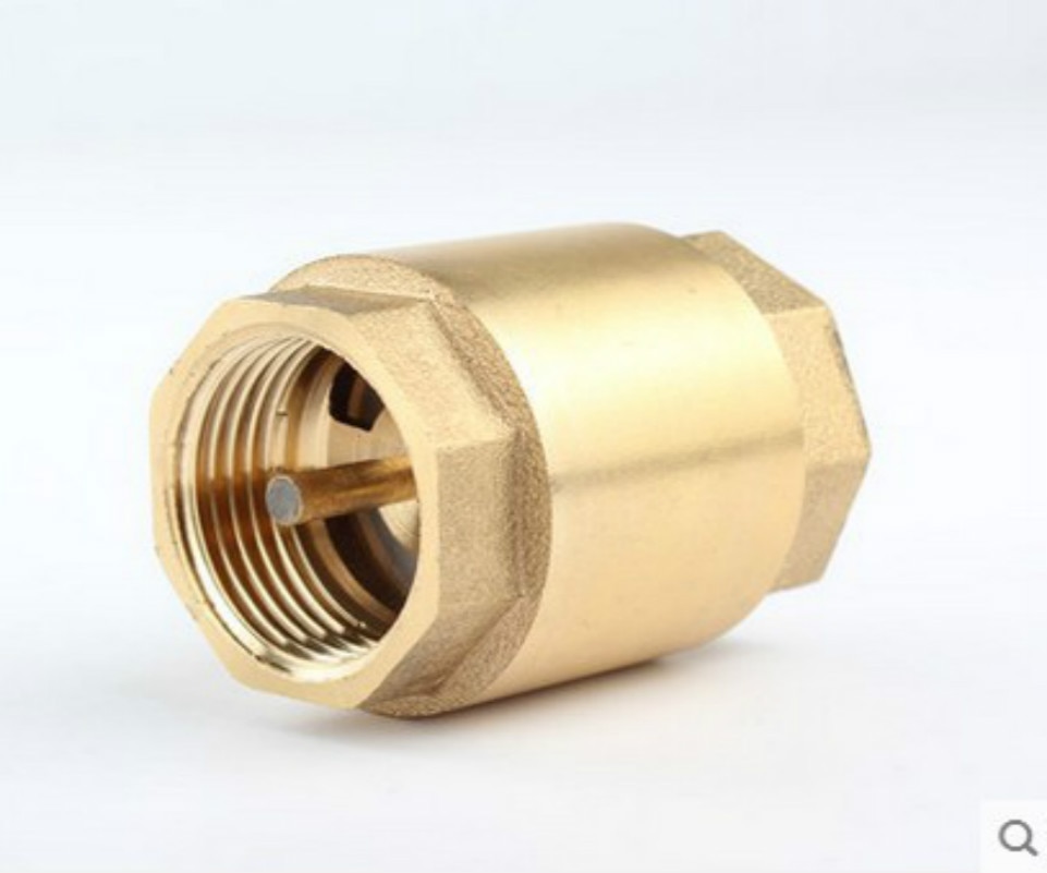 1/2" BSPP One-way Spring Vertical Check Valve Swing Type