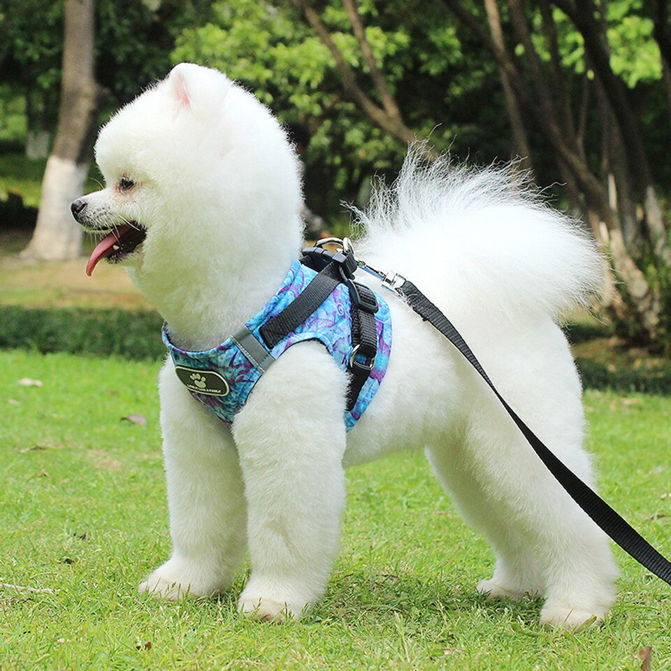 Copetsla One Piece Dog Harness Ocean printing Vest Puppy Cat Harnesses Reflective pet Walking Lead Leash soft dog chest strap