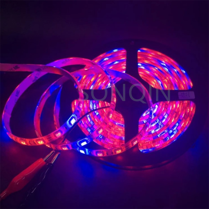 Tira de luces LED de espectro completo, lámpara de crecimiento Phyto para invernadero hidropónico, 3M-15M