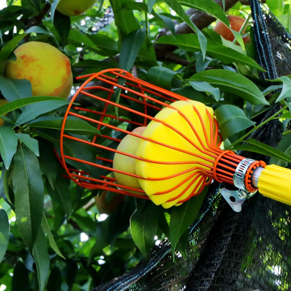 With Cushion Pears Harvesting Durable Fruit Picker Picking Stainless Steel Peach Deep Basket Farm Garden Tool Anti Bruising