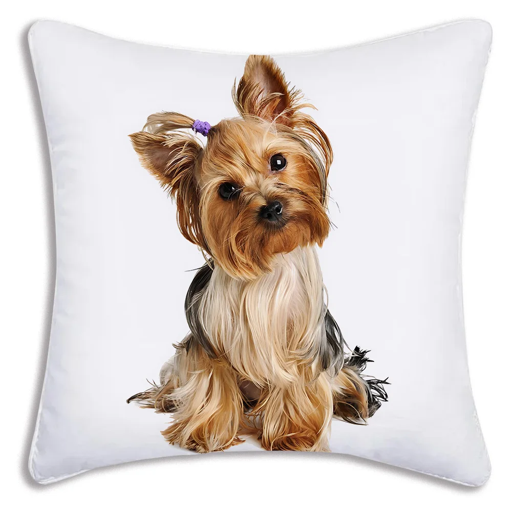 Fodere per cuscini per cani carini Divano dei cartoni animati Federa decorativa per la casa Stampa Fodera per cuscino carina: 400*400mm / Blu