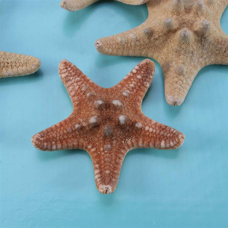 4Pcs Sea Star Carfts Decoratie Diy Strand Huisje Decor Zee Shell Voor Bruiloft Fotografie Party Home Decoratie (4-6Cm)