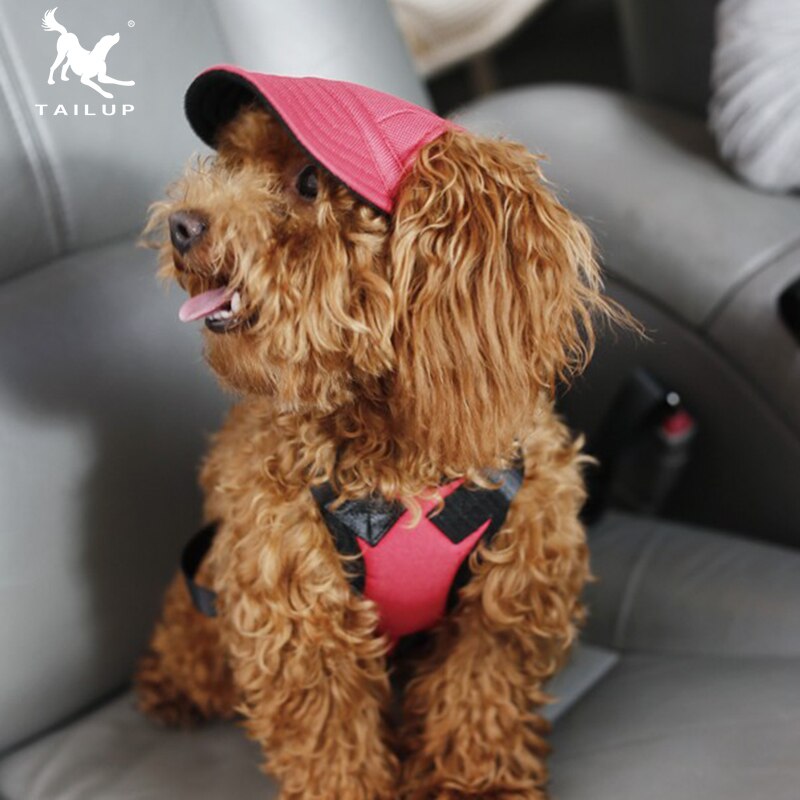 TAILUP Hond Cap Met Oor Gat Zomer Honkbal Voor kleine Puppy Outdoor Sunbonnet Cap Pet Producten Size S/M-12 Stijl