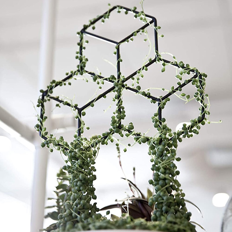 Garten Metall Spalier, Gitter-Förmigen Anlage Spalier für DIY Topf Klettern Pflanzen Unterstützung, Blume Gemüse Rose Reben: Ursprünglich Titel