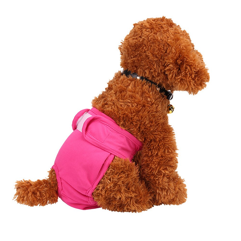 Blød kvindelig hundehvalp fysiologiske bukser åndbar kæledyrsundertøj bleer vaskbar pige kæledyrsble til små mellemstore hunde: Rose / S