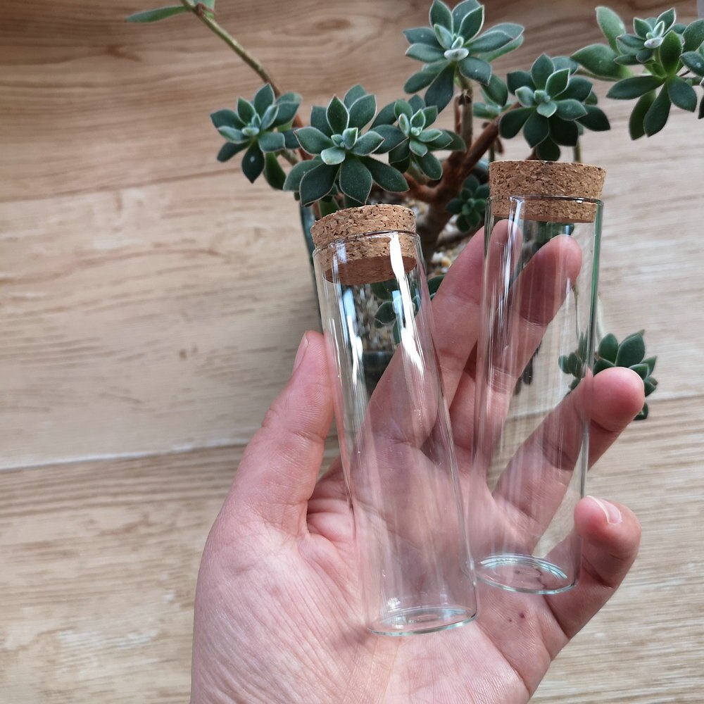 10 Stks/partij 50Ml 30*100Mm Lege Diy Wishing Glasreageerbuizen Opslag Flessen Met Kurk Tiny potten Kurk Ambachten