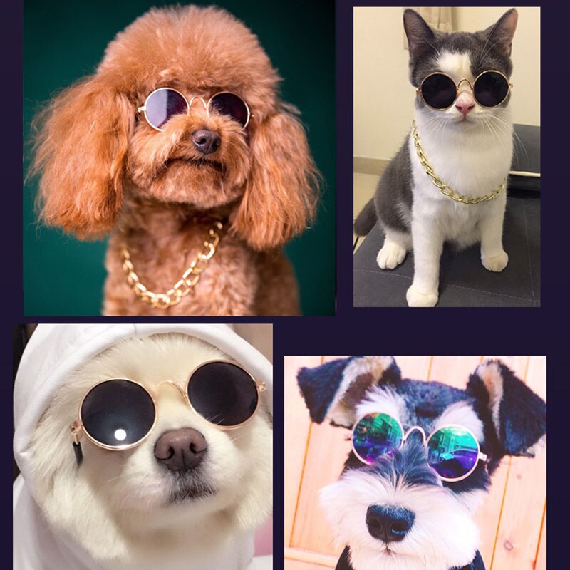 Cool de para mascotas gafas gato perrito gafas de sol ojo ropa cachorro gafas de sol foto Prop, suministros para mascotas, accesorios para perros pequeños