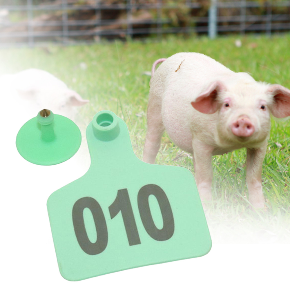 Étiquettes d'oreille de vache, 100 pièces, animaux de ferme, Identification de voiture avec le mot numéro (jaune)