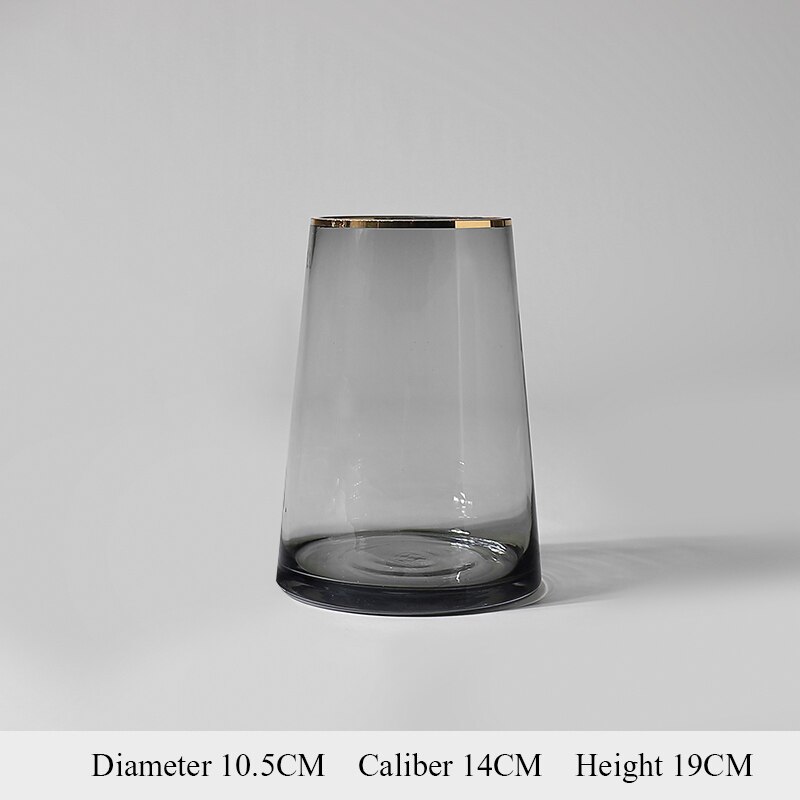 Simple Style Golden Circle Transparent Glass Vase Living Room Decoration Water Flower Glass Bottle Garden Decoration: S