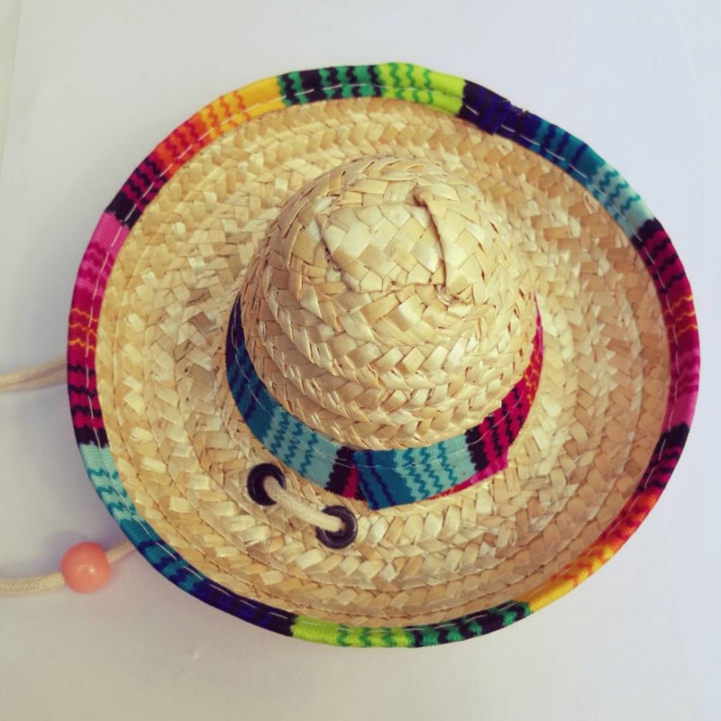Mini chapeau en paille pour chiens, Sombrero, chat, chapeau de soleil, fête sur la plage, chapeau en paille pour chiens, chapeau hawaïen pour chiens, accessoires amusants