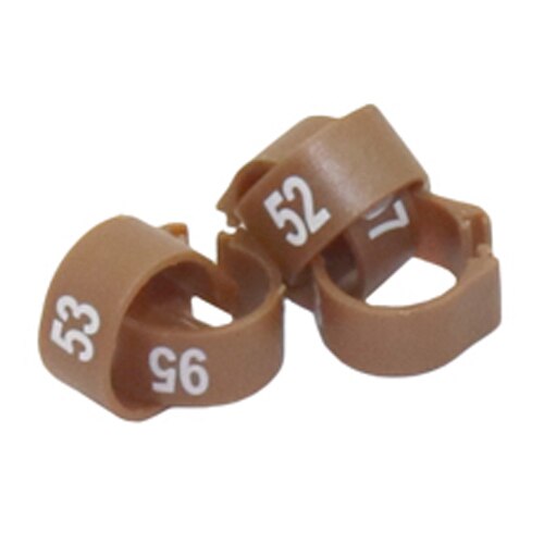 12Mm/14Mm Papegaai Voetring Papegaai Harnas Vogel Voeden Levert NO.1-100 Digitale Mark Ring 10 Kleuren Vogel harnas 100 Pcs: Bruin / 12mm