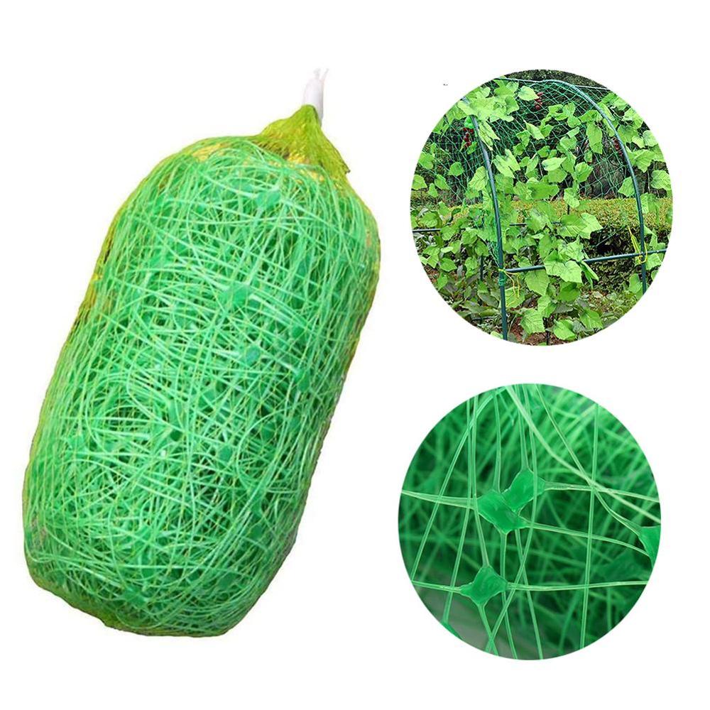 Malla de enrejado de plantas, Red de guisante ting, Red de jardín verde, malla de enrejado para frijoles, frutas, verduras, plantas trepadoras