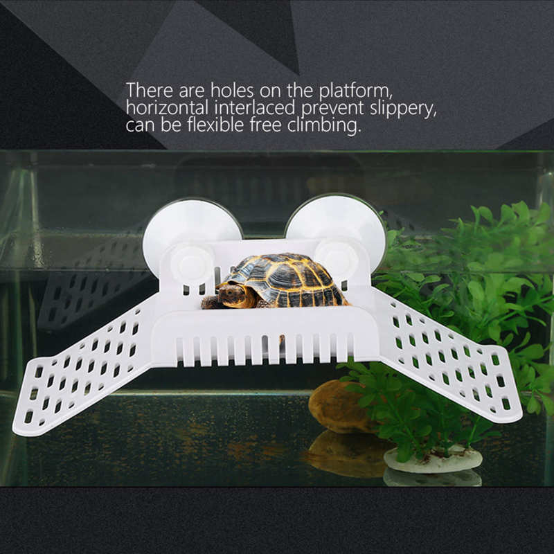 Bridge For Turtle Amphibious Reptile Drying Platform DIY Assembly with Climbing Coconut Tree Brazil Turtle Water Turtle Tortoise