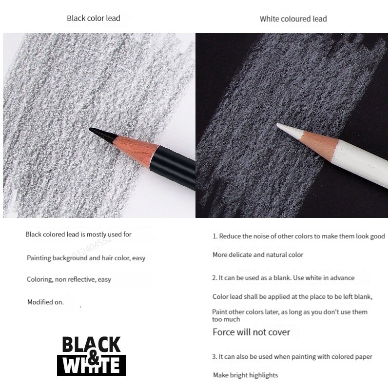 Crayons de couleur noir et blanc, 12 à 2 pièces, crayons de dessin de couleur permanents, crayons de couleur en bois à base d'huile pour artistes et artistes débutants