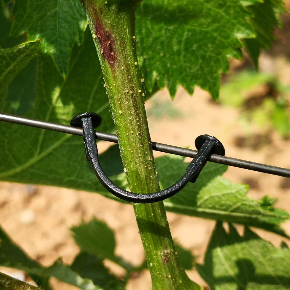 Gancho de amarre fijo de vides para plantas agrícolas, gancho de amarre atado de vides para plantas, flores de jardín, invernadero, herramientas de jardín, 2000 Uds.