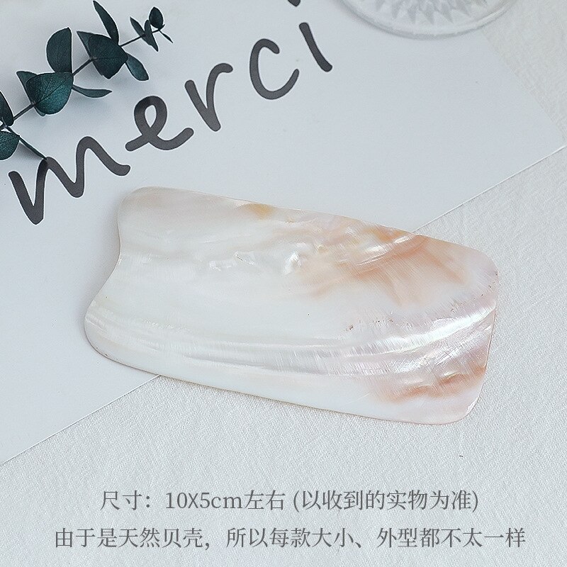 Shell decoration photography accessories photography Retro Props Birthday Party decorations props: AC312