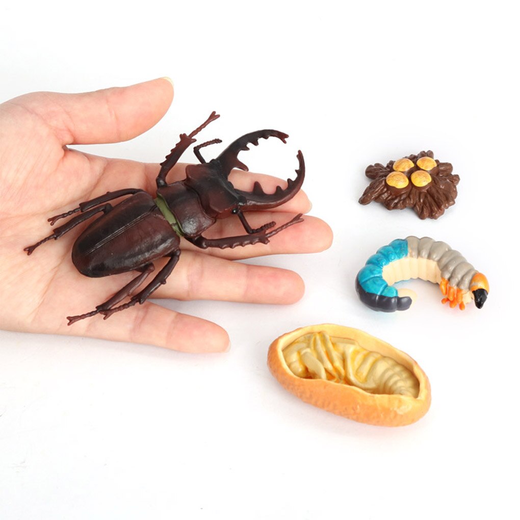 1 set spatenwurm-modell aus simuliertem kunststoff, detailgetreue insektenfiguren, interessante, naturbezogene wachstumsmodelle