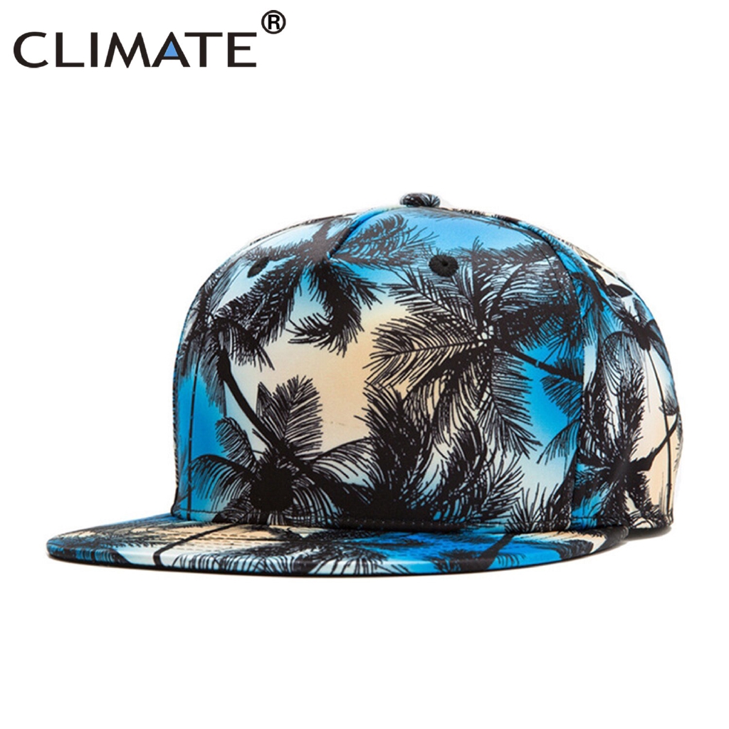 Casquette de plage à rabat en noix de coco pour hommes, pour en bord de mer, impression 3D, casquettes Hip Hop, Street Dancer, chapeau de danse: SNA001C-blue