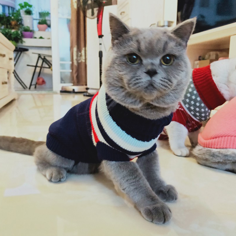 Streifen Haustier Katze zur Seite fahren Hoodies Winter Warme Katze Kleidung Für Katzen Kedi Mantel Katten Kleidung Outfit Katzen Produkte Für haustiere