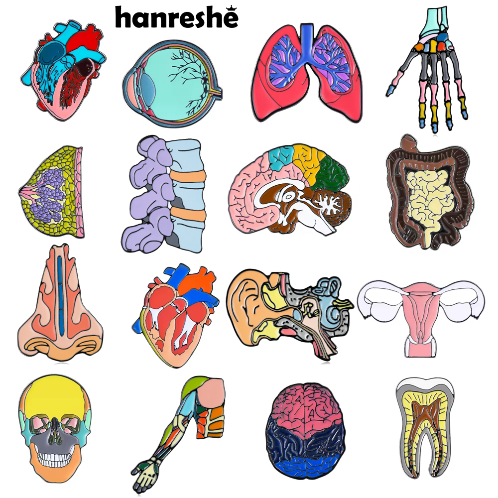 Hanreshe émail orgue broches broches anatomie médicale rein cerveau coeur crâne Badges médecine bijoux pour médecin infirmière