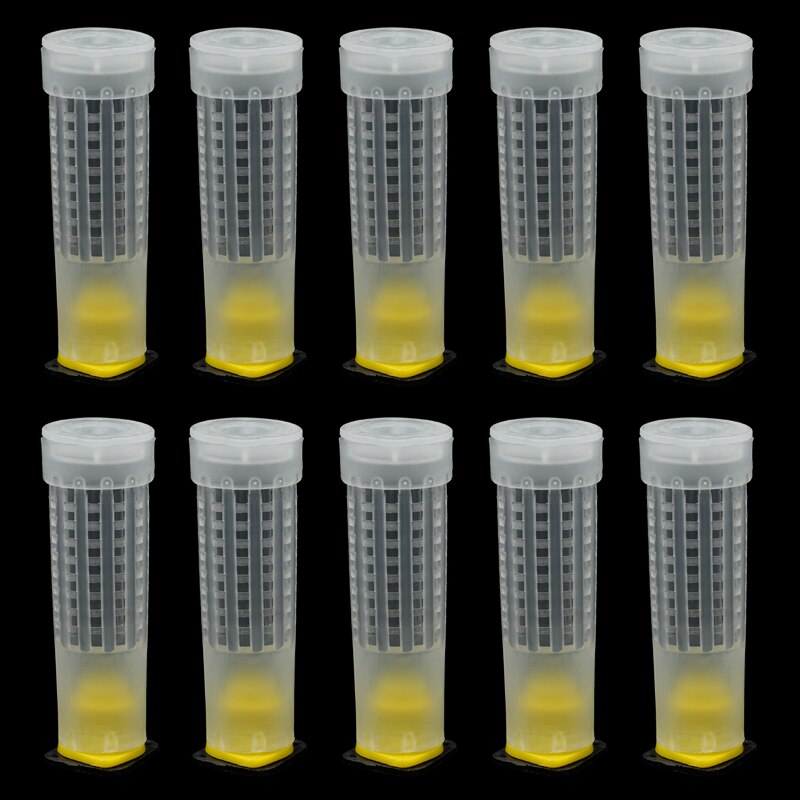 Insect Rearing Cups 100 Sets Queen Bee Cages Beekeeping Queen Rearing ... – Grandado